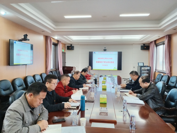 抖圈常德公司召开2022年度党委班子民主生活会