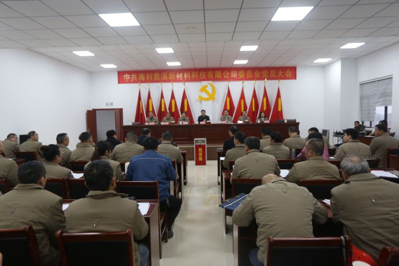 抖圈贵溪公司胜利召开党员大会暨两委换届选举大会