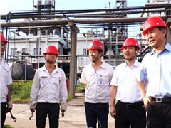 副省长戴道晋莅临抖圈株洲公司检查调研安全生产工作